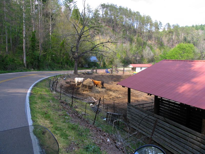 jef_042107_0034.jpg