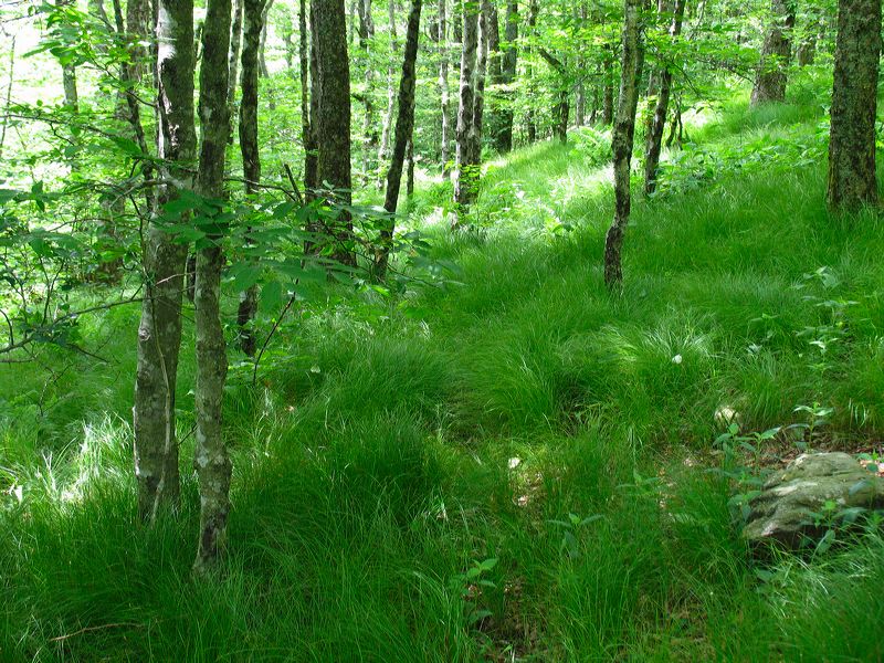 jef_20070605_003.jpg