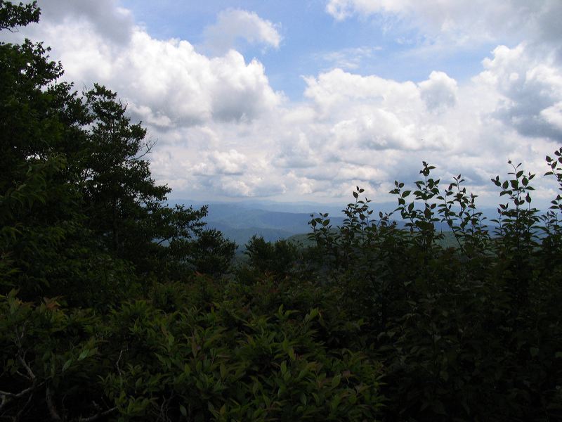 jef_20070605_005.jpg