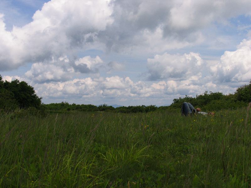 jef_20070605_009.jpg